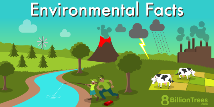 Environmental facts