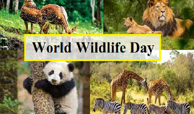 World Wildlife Day