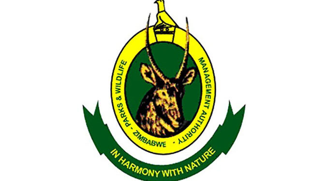IFAW, ZimParks Initiative Donates Bicycles to Safeguard Students from Wildlife